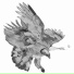 4 Wings to Fly