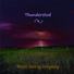 Thunderstod