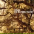 Travis - Rock Ballads SING
