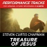 Steven Curtis Chapman