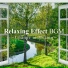 Relaxing BGM Project
