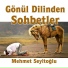 Mehmet Seyitoğlu