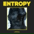 Entropy
