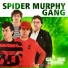 Spider Murphy Gang