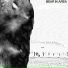 Bear in Area