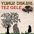 Yunus Dişkaya