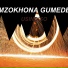 MZOKHONA GUMEDE
