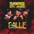 Filarmonick, Darell, Lito Kirino