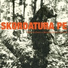 Skordatura Punkjazz Ensemble