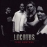 Locotus