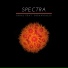 Spectra feat. Oceanically