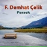 Fetullah Demhat Çelik feat. Mehmet Gümüş