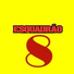 Esquadrão 8