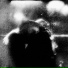 Oiseaux-Tempête