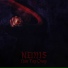 NEMIS
