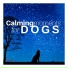 Music for Dogs Collective