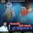 Goswami Hitesh