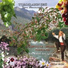Sami Demircioğlu