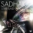 Sadhaka
