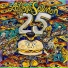 Leftover Salmon