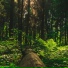 Sleepy Times, Calming Sounds, Sound Sleeping