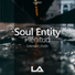 Soul Entity
