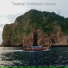 Tropical Christmas Groove