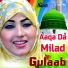 Gulaab