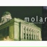 Molars