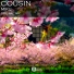 Cousin