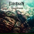 Estoplyn