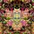 Shpongle