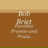 Bob Briet