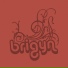Brigyn