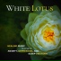Mystical Guide, Liquid Ambiance, Ambient 11