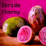 Ibrido