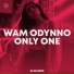 Wam Odynno