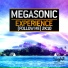 Megasonic
