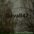 Gavall47