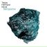 Tobias Hoffmann Nonet