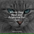 Music For Cats TA, Cat Music, Cat Music Therapy