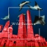 Fabrizio Fullone