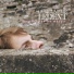 Guillaume Ledent