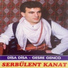 Serbülent Kanat