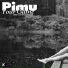 PIMU