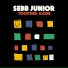 Sebb Junior feat. Eric Roberson, Paula