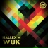 Hallex M feat. Loic L