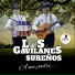 Los Gavilanes Sureños