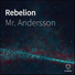 Mr. Andersson
