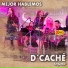 Orquesta Femenina D'Caché